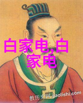 小天鹅全自动洗衣机家居生活的智能助手