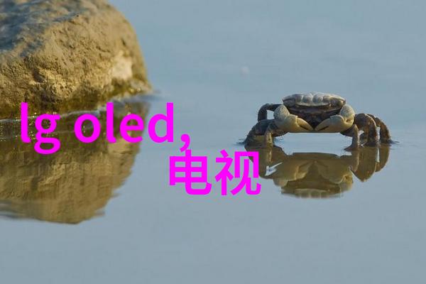 东方财富网数字化转型的财经平台挑战者