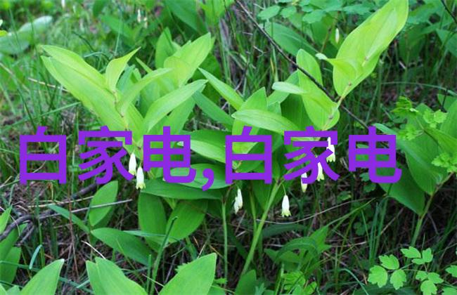 在安装和调试过程中我们可能会遇到什么常见的问题
