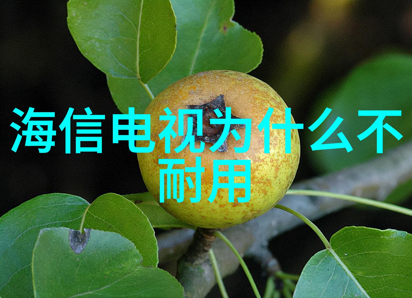 夏天冰箱应该调到几档合适-夏日清凉冰箱使用技巧全解析
