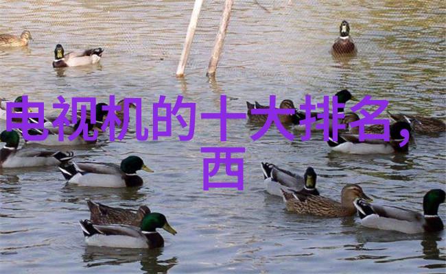 创新能力与规模效应解析国内领先的化工设备生产商
