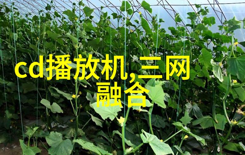 管材知识-解析Pert管材材料类型与应用领域