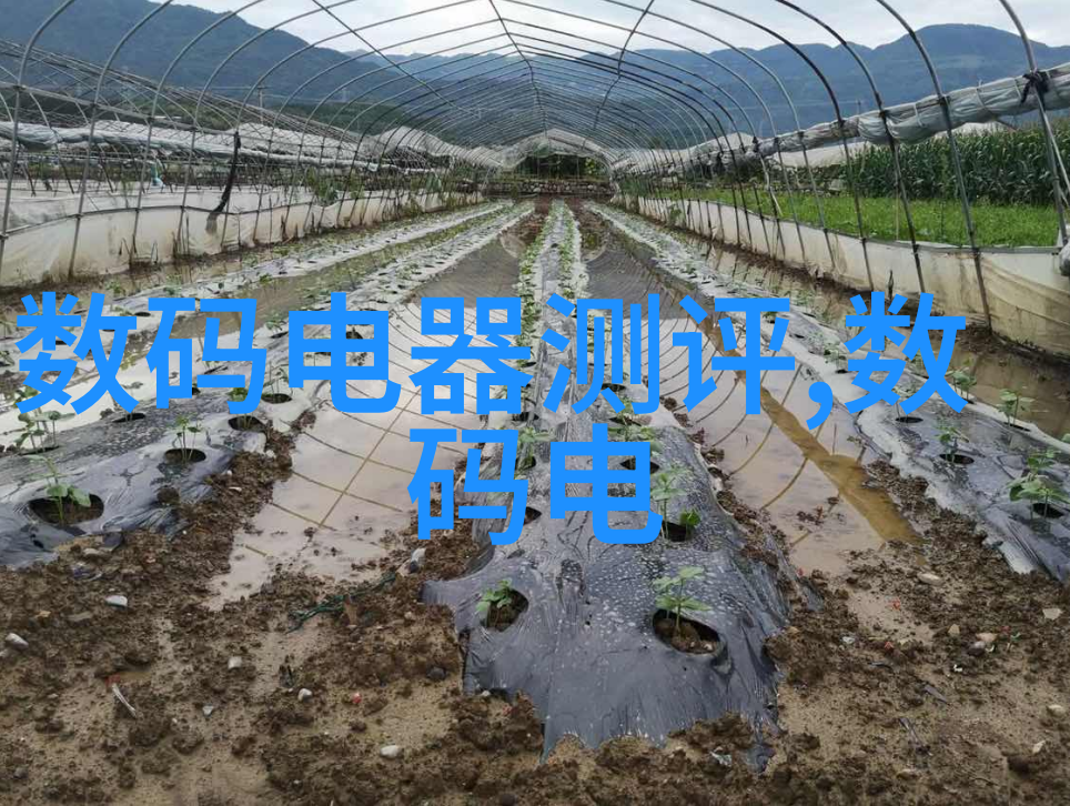 金色鳞片下的科技奇迹锦鲤的数字变革
