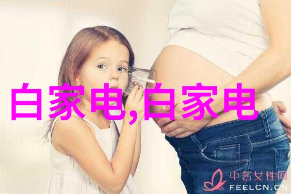 家庭生产线上的创意应用创新产品开发秘籍