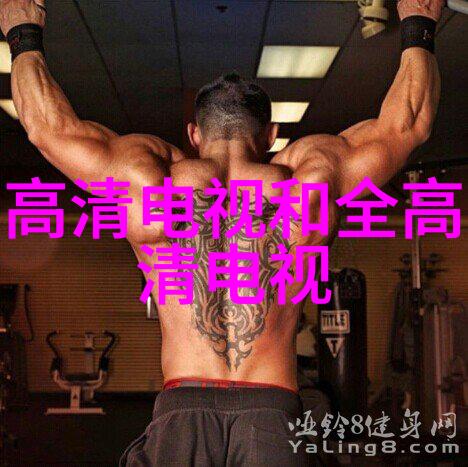静谧旋转实验室离心机的秘密世界