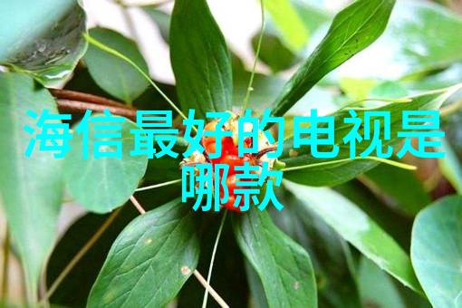 温暖回归杭州制冷设备的新生之旅