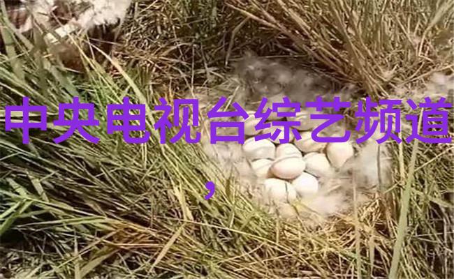 从基础到应用探索biobase高压蒸汽灭菌器在生物领域中的作用