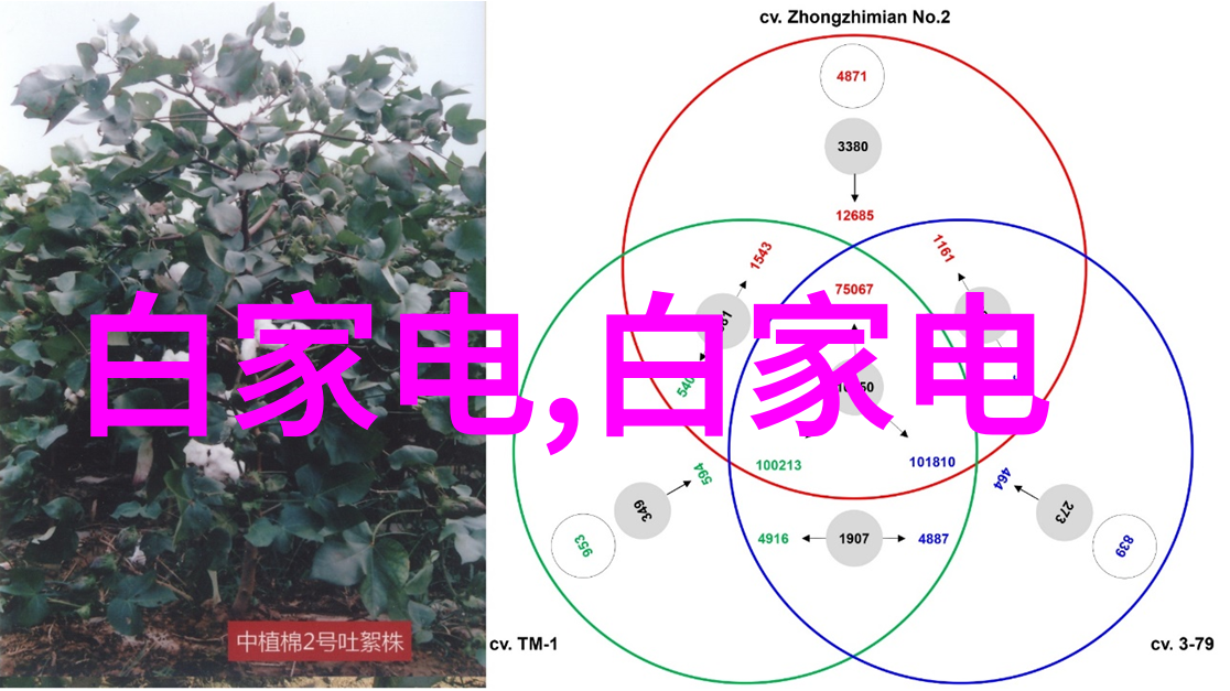 泡沫板防水大作战新房装修细节之谜解密