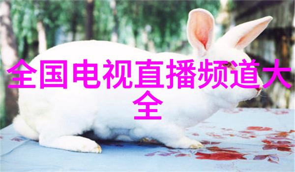 精细化工新星旋转分离的艺术与科技