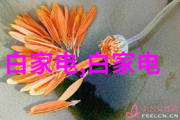 丽维家沉默的宅邸与隐藏的秘密