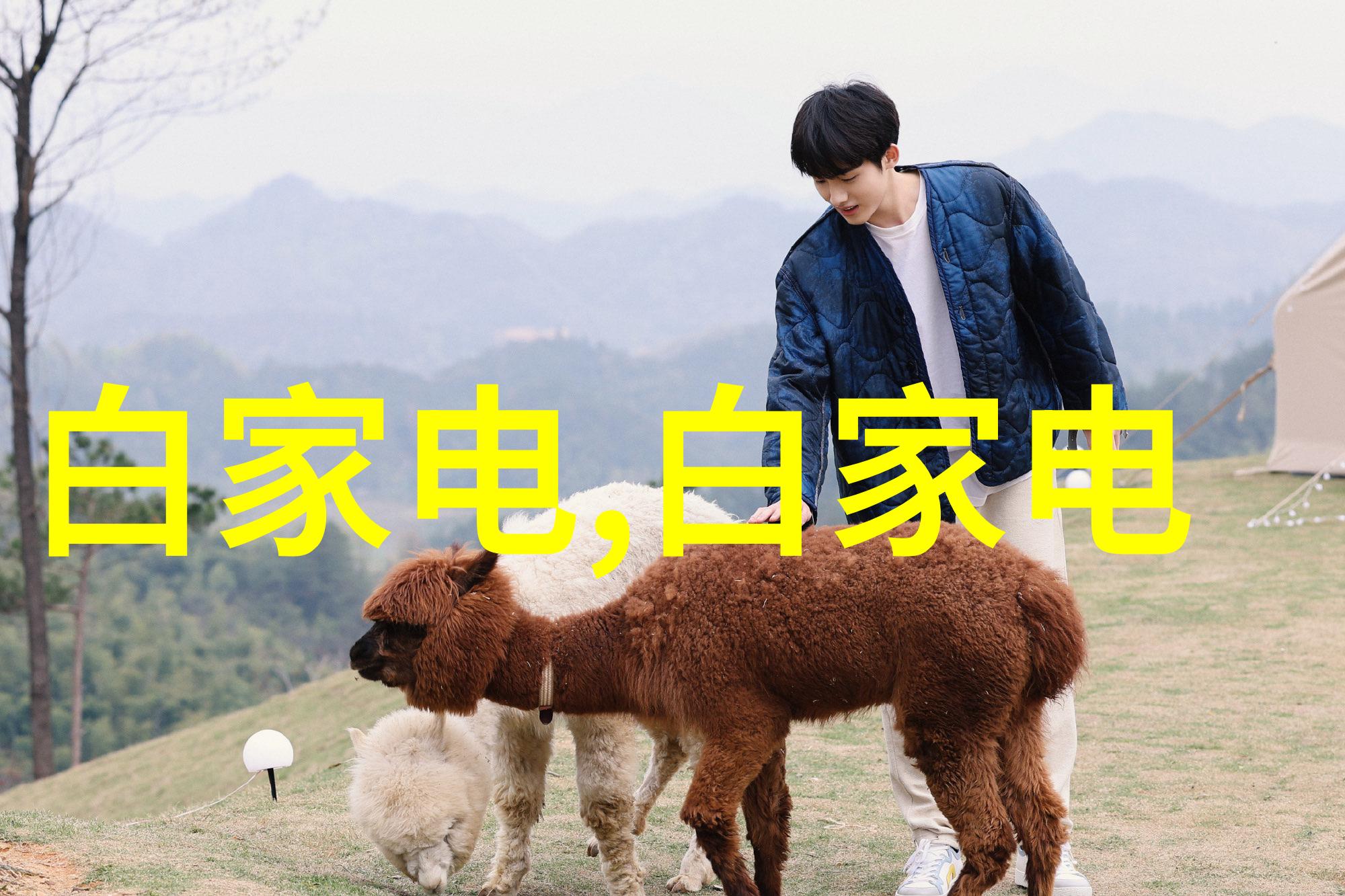 化工巨擘利润之冠的化学合成