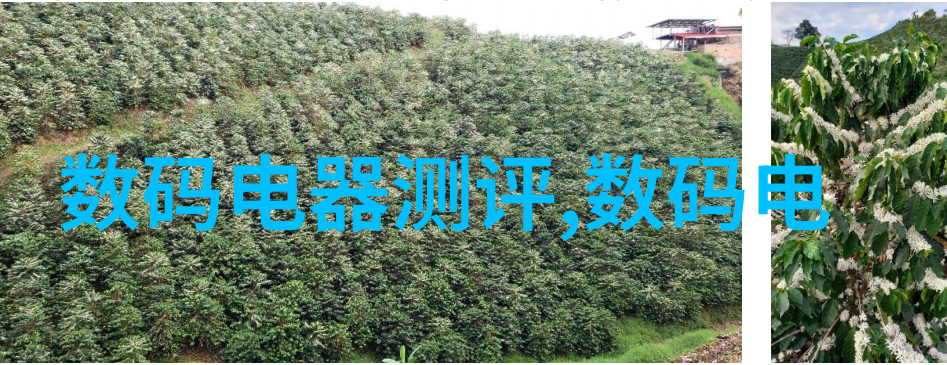 从丝绸之路到数字经济世纪华联70年回顾