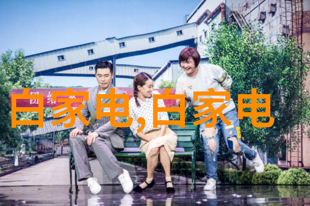 企业在面临严格的环保法规时应如何平衡经济发展与环境保护