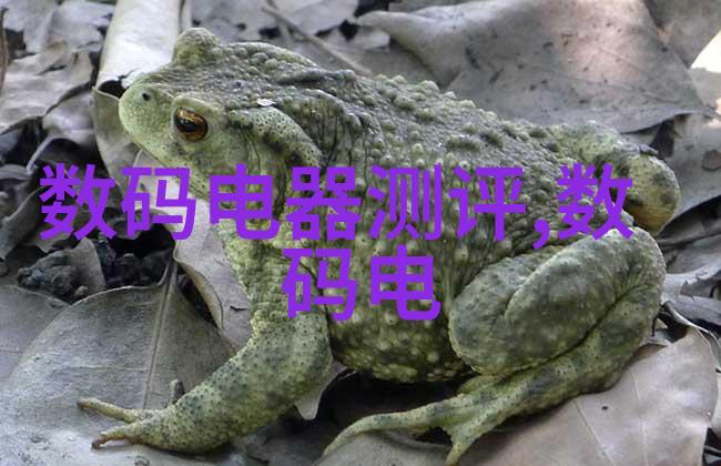 美国超级大型19世纪历史展览会回顾美国19世纪的辉煌与变迁