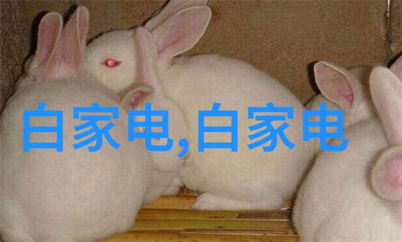 饭店油水分离器的选择与维护
