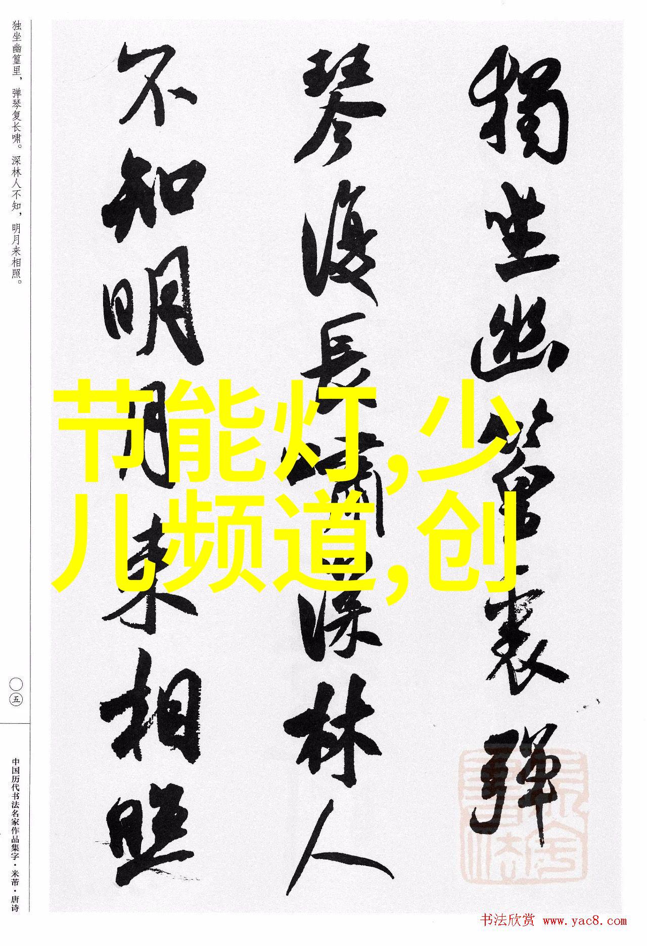 镜中欧式解读19世纪后期人像摄影中的光影与文化