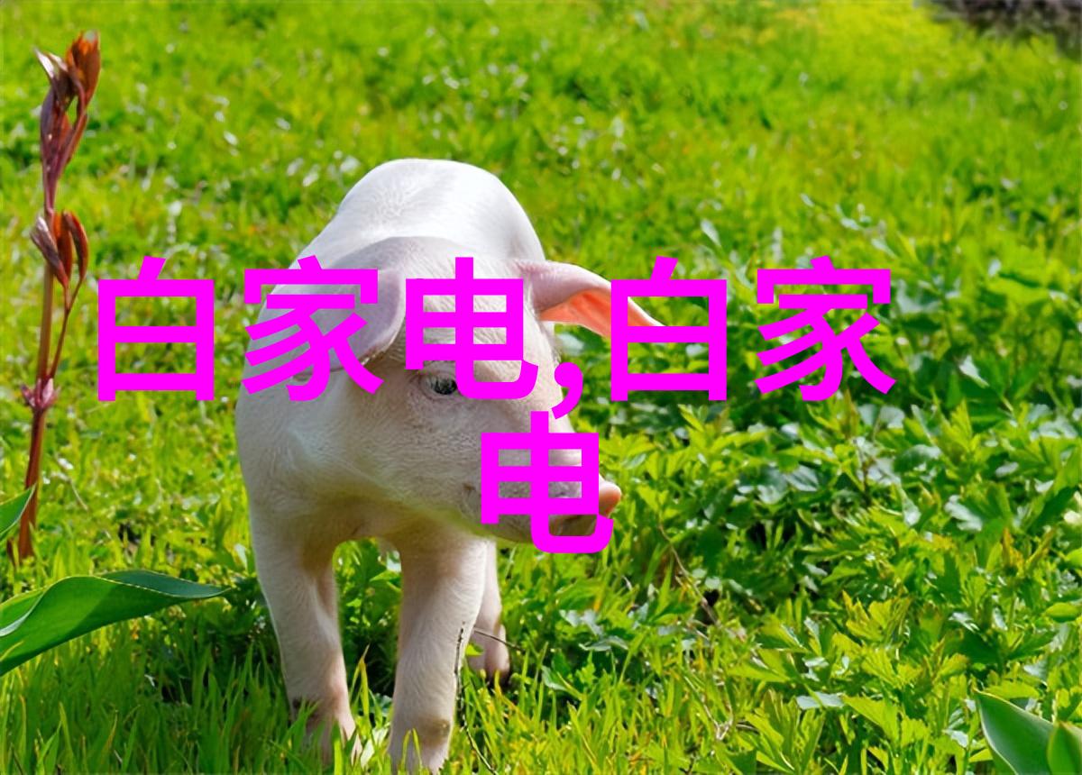 且听凤吟遥远王国的歌声与秘密