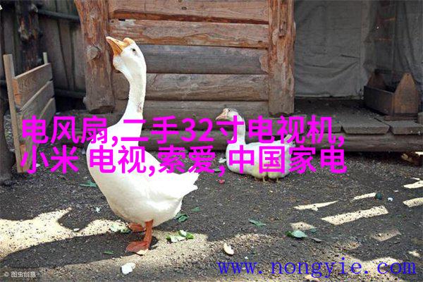开放式厨房