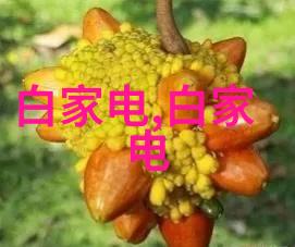 传统蒸发冷却系统和现代气体-液体交换装置相比汽化器优势在哪里