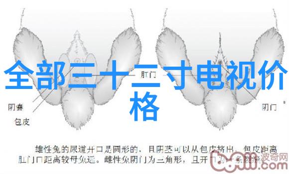 二手杀菌锅温暖的记忆清新的开始