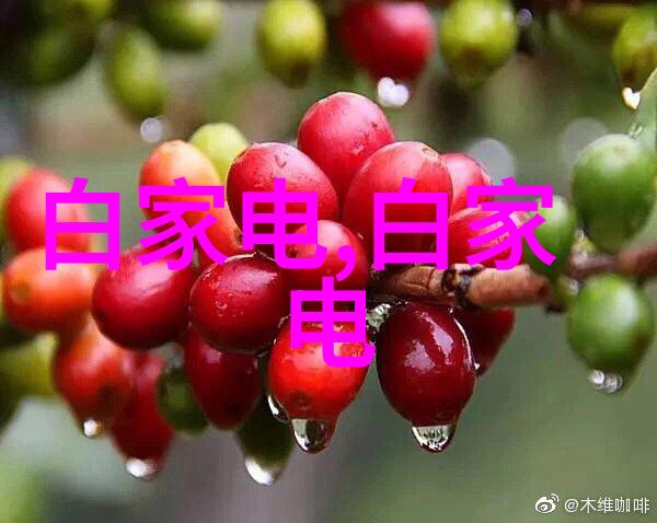 工业干燥设备机器之心物料的守护者