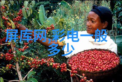 膜分离技术膜分离设备的原理与应用