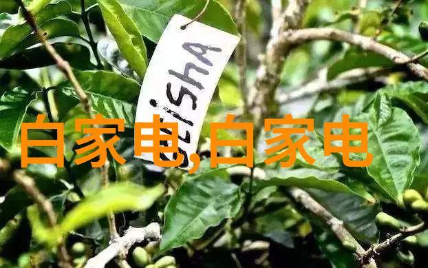 滋润-滋润的魅力BBWWBWWBBWW中的温柔力量
