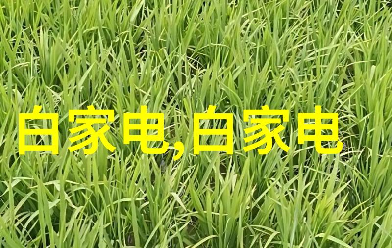 食用菌最先进装袋机-高效无损伤新一代食用菌自动化包装技术的革命