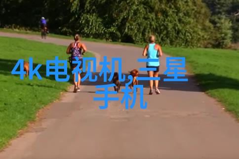 探秘猫头鹰工程凡猫软件测试培训的神秘之旅