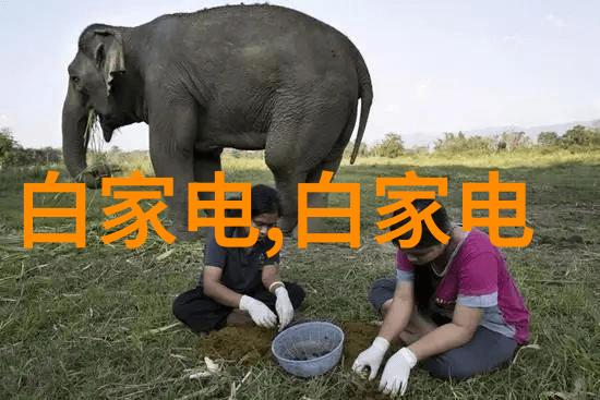 中国化工装备我国化工设备从依赖进口到自主创新的转变路程