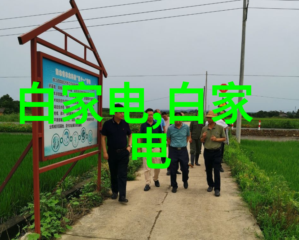 冷媒循环泵与冷凝机组的协同作用