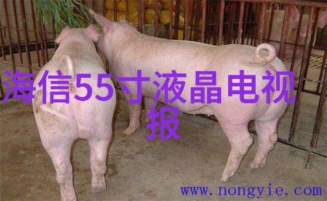 大规模生产中固定的设计和建造挑战解决方案