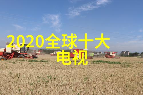 空间革命揭秘如何通过设计实现完美的100平方米家庭生活区划分和布局规划