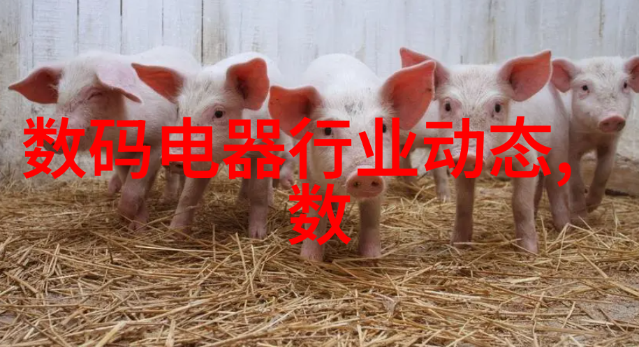 热浸塑钢管图片-金属艺术热浸塑钢管的视觉奇迹