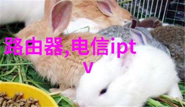 北渊仙族隐秘的神话与江湖传说