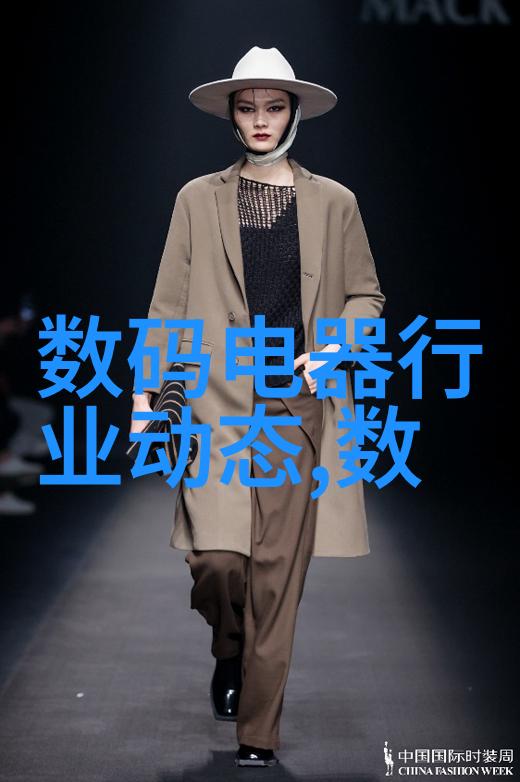 社会场景下的摄影器材配置探讨如何选择专业单反数码相机及镜头以及数码摄像机以优化曝光效果