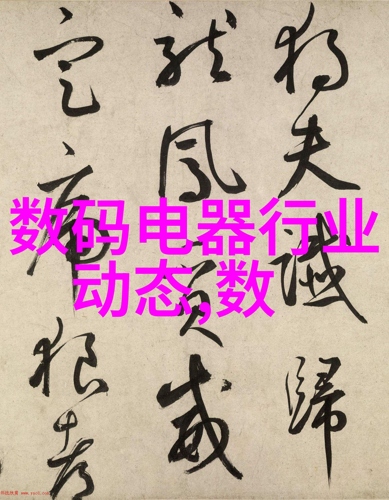 亚洲一卡2卡三卡4卡追逐数字时代的金融自由之旅