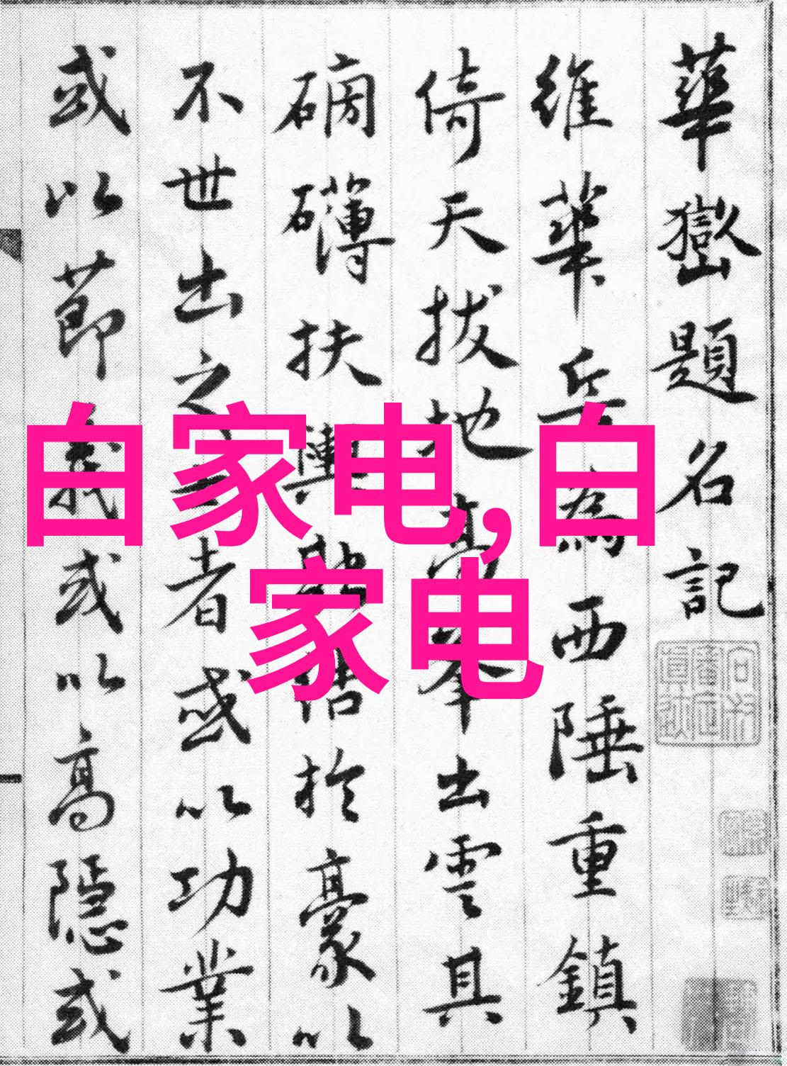 食品防腐新篇章利用真空包装的杀菌奥秘