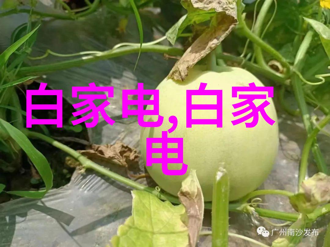 人才管理-公司的人才测评核心竞争力还是过时传统