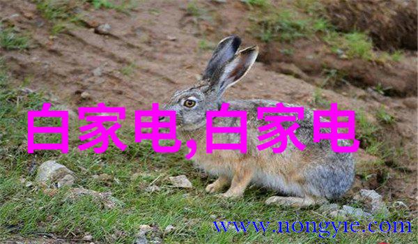 乡村风光美丽的乡村风光
