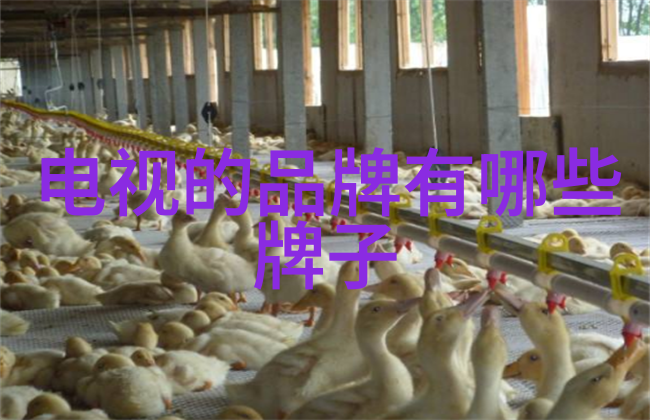家庭生活中的小物件大情感家用冰箱照片故事