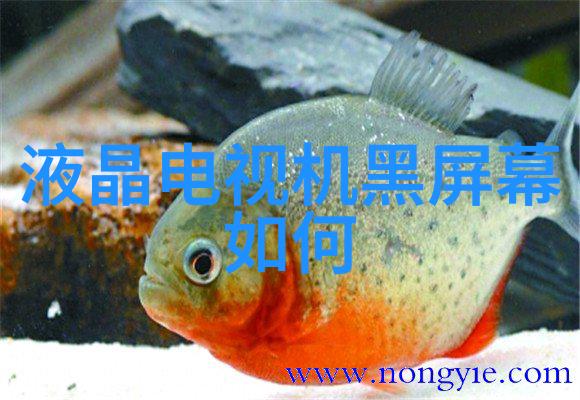 卫生间防水工程的智者知道如何高效地进行防水工作他们首先会考虑工程水电大包的预算询问多少钱一平方米这样