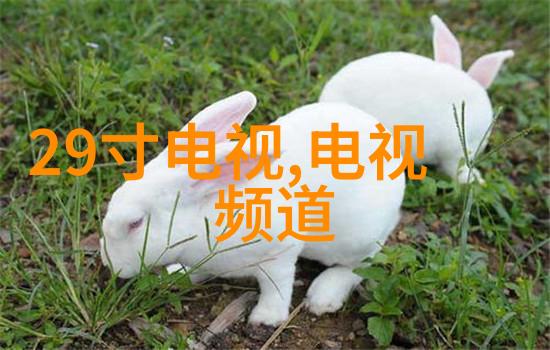 客厅设计效果图片我家这新装修的客厅你一看就爱了