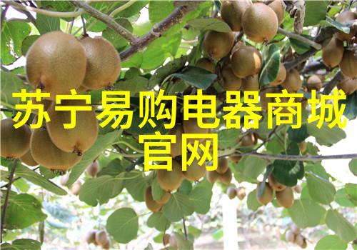个人如何检测水质 - 水源探测揭秘家庭用水的清洁度