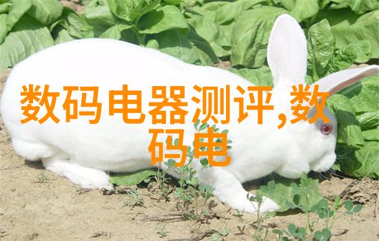 青春嘻哈风暴18岁女rapper的网络挑战与大豆网的回响