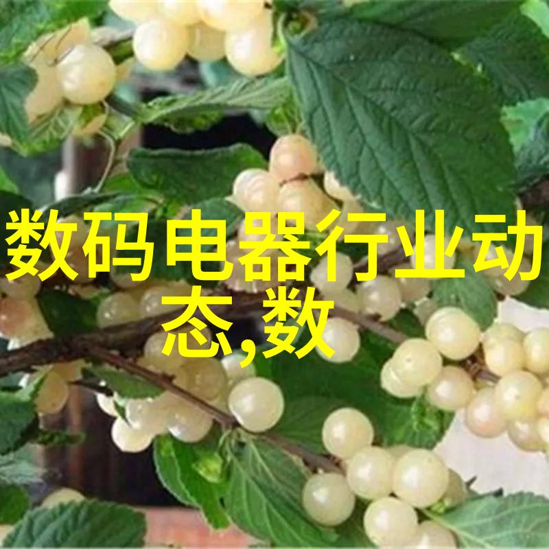 屠宰设备我是如何学会和它们共舞的