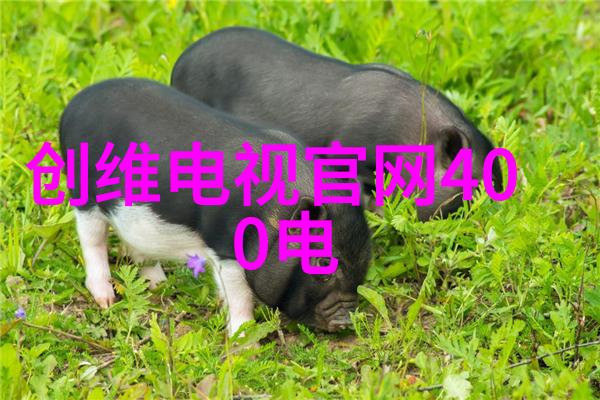 连续灭菌设备-高效杀菌技术的关键了解连续灭菌设备一般包括哪些部分