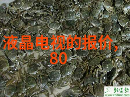 邪气凛然揭秘诡异世界的阴影与光明