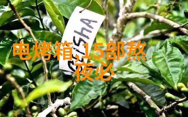 304价格今日报价表