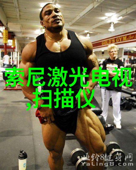 绽放的红玫瑰爱情与花语之间的故事